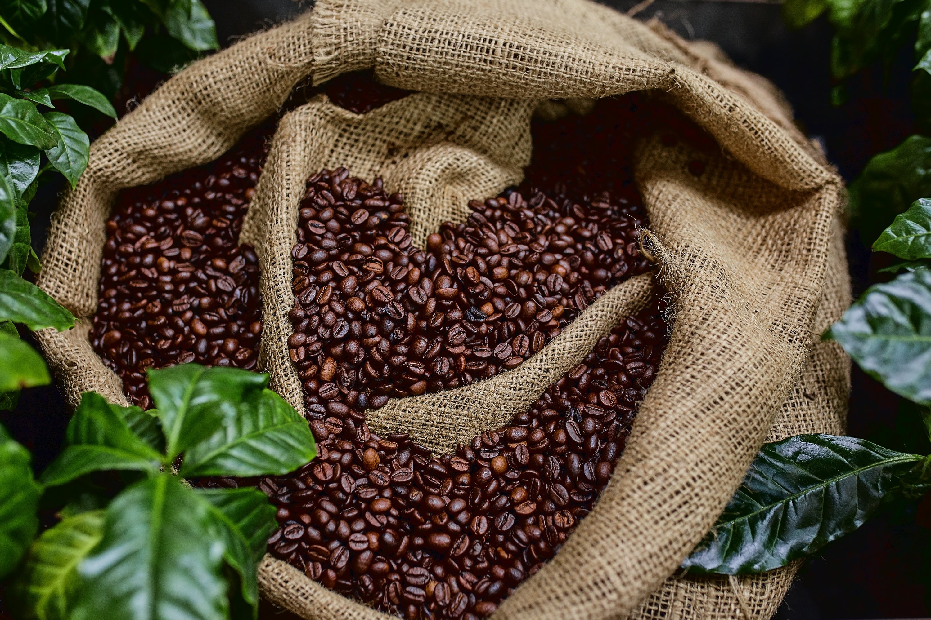 Cravings and Coffee