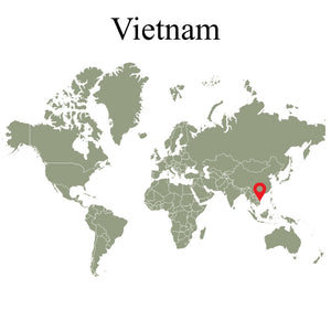 Vietnam 81%
